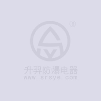 防爆平臺燈